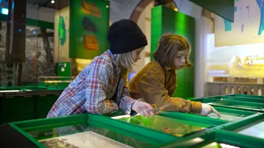 The green area with supermarket crates show the earth as a supermarket