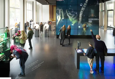 part where you can see back your collection of microbes