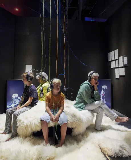 A couple people sitting down on a seat made from sheep skins, that also cover the ground. They wear headphones that hang from a cable above them.