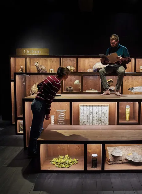 Four rows of wooden horizontal showcases are assembled in front of each other like a broad staircase. The insights of the showcases are lit up, showing various animals. Text on the showcases indicates the 'natural order' as humans have long described it. A man sits on the showcase, reading a book, another peers over te look inside a higher showcase.