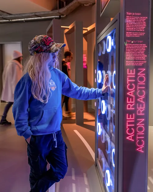 action reaction exhibit