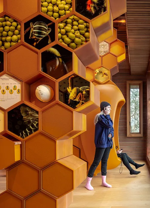 Crop of hives