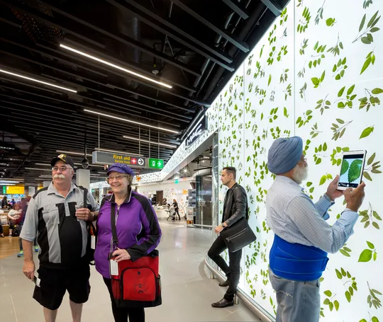 Wellness world, discovering plants