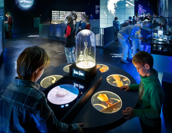 picture of the reproductive wheel, interactive exhibit
