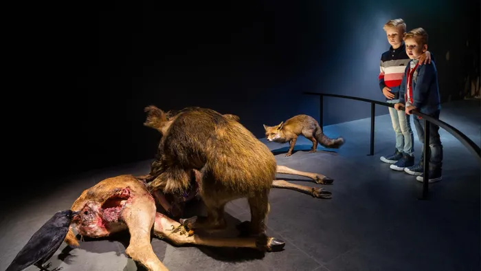 De Dood, Naturalis Leiden