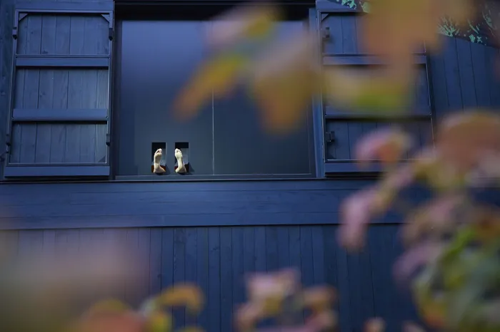 Outside of the black Stapferhaus building with some foliage out of focus in front of it. Two feet extrude from the building's window, through two holes that were made especially for the exhibition.