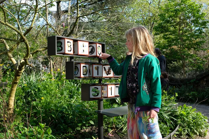 The word biodiversity