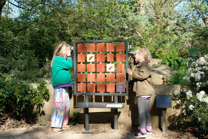 Memory game