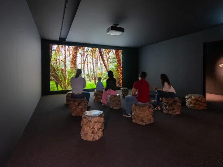 Films show the connection to nature