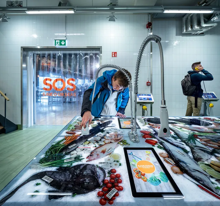 Interactive games about food from the fishing industry