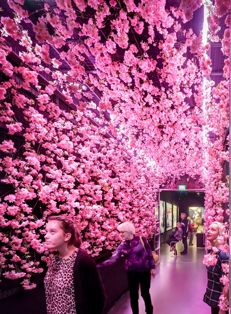 Cherry Blossom portrait
