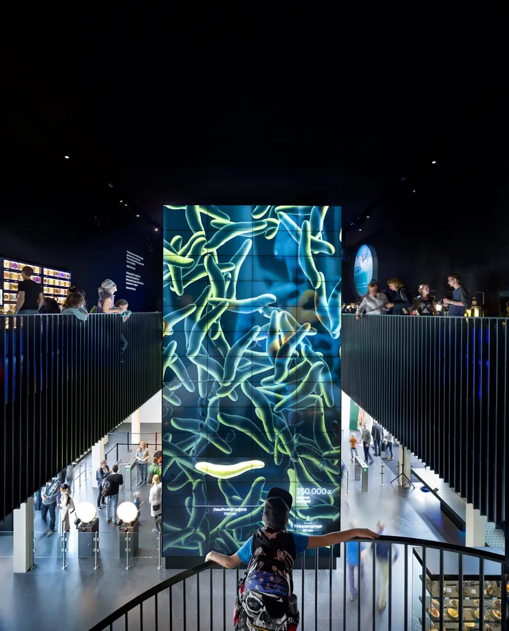 picture of the video wall, view from the staircase