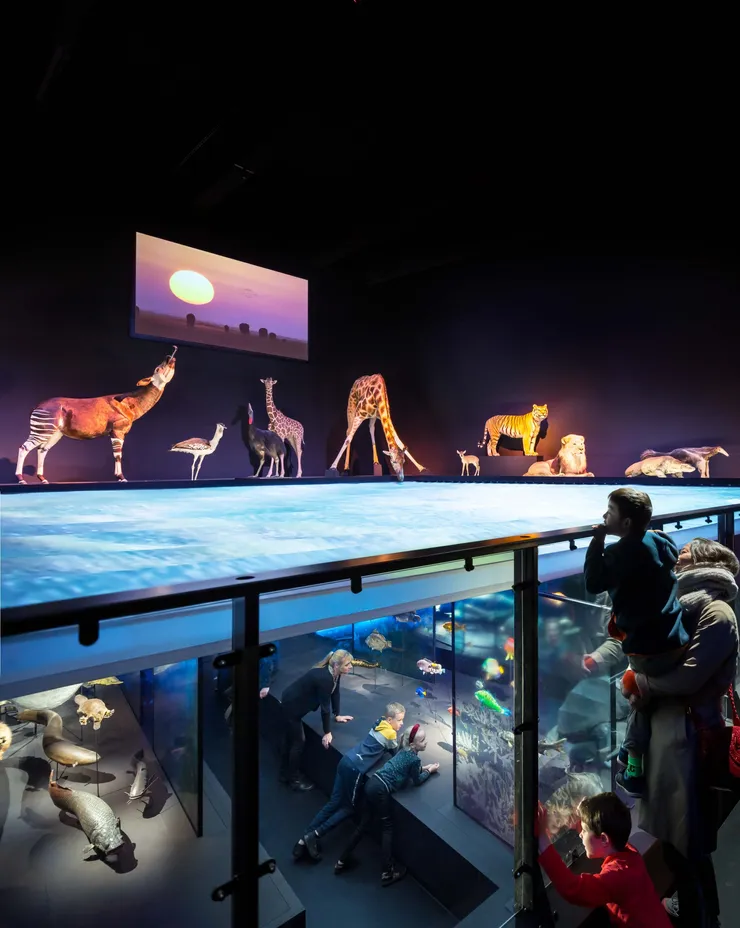 Leven Naturalis Leiden