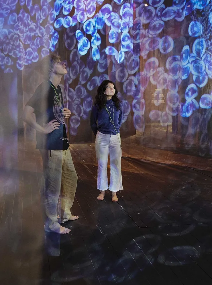 Two people look up between sheer curtains. On it is an artistic projection of blue cells splitting. Both people wear a compass around their neck and are barefoot.