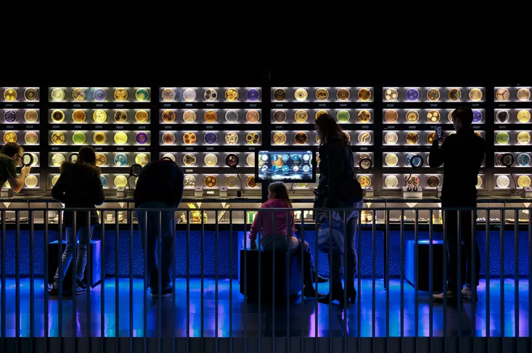 picture overview of the petridishes part of the exhibition