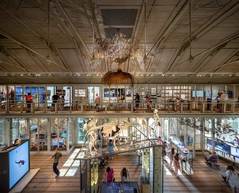 An upstairs overview of the space