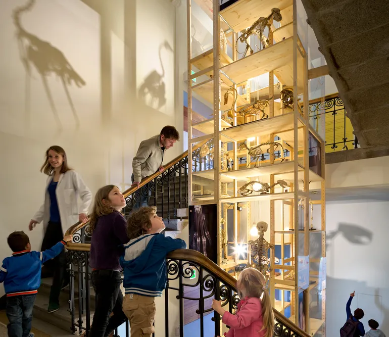 Stairwell