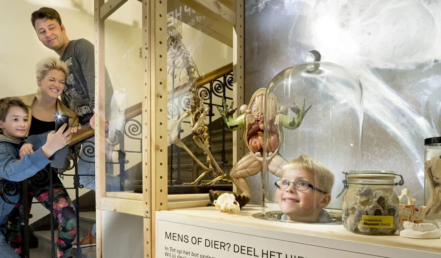Down to the bone header