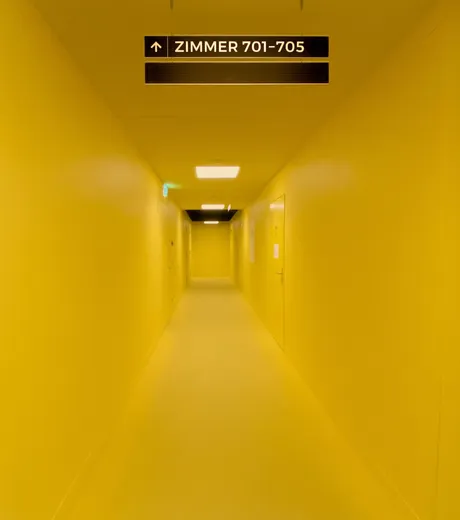 Fake, Stapferhaus Lenzburg