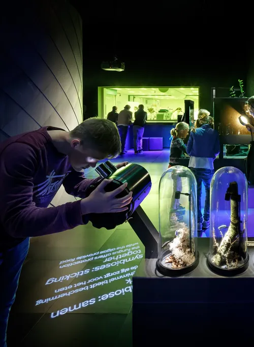 photo of the glass bells exhibit.