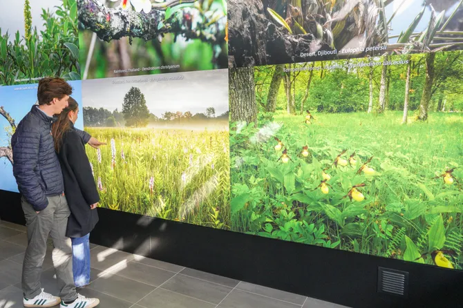 Juliana Paviljoen Keukenhof