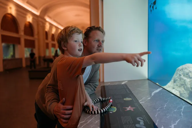 ARTIS Aquarium door Kossmanndejong
