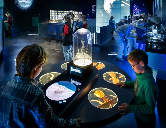 picture of the reproductive wheel, interactive exhibit