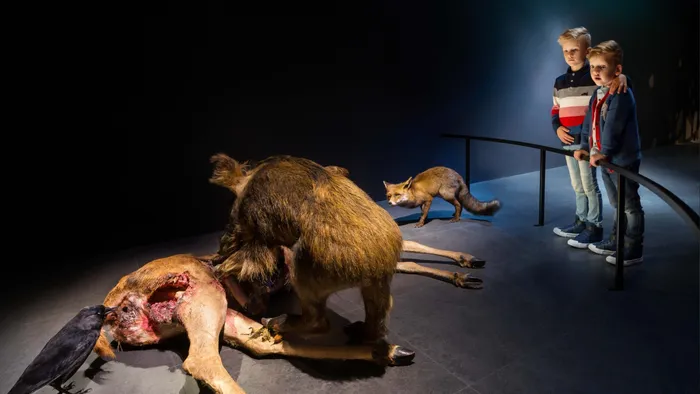 De Dood, Naturalis Leiden