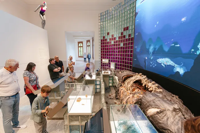ARTIS Aquarium door Kossmanndejong