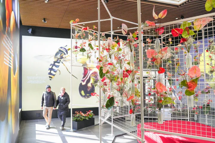 Juliana Paviljoen Keukenhof