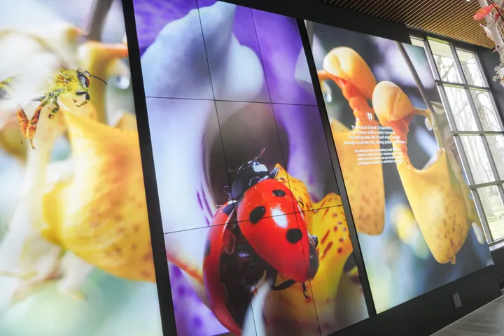 Juliana Paviljoen Keukenhof