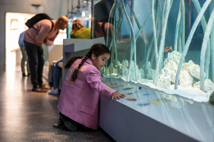 ARTIS Aquarium door Kossmanndejong