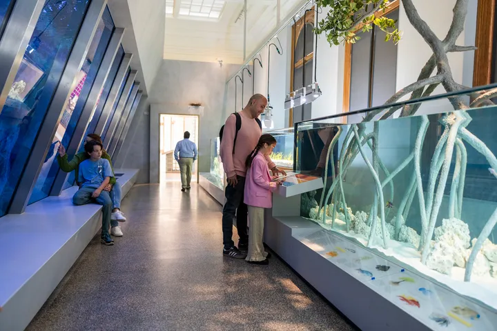 ARTIS Aquarium door Kossmanndejong