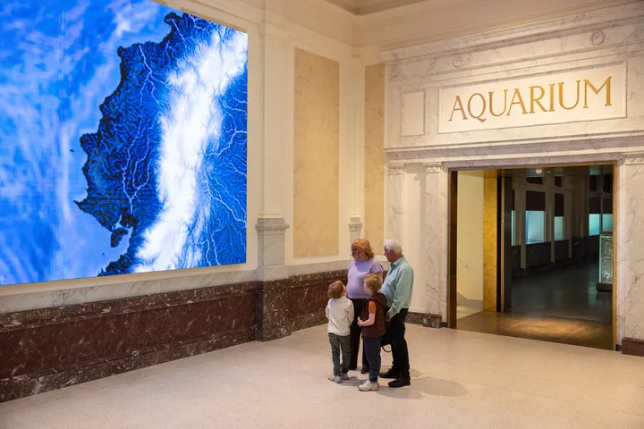 ARTIS Aquarium door Kossmanndejong