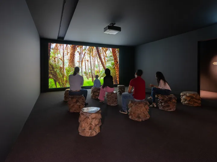 Films show the connection to nature