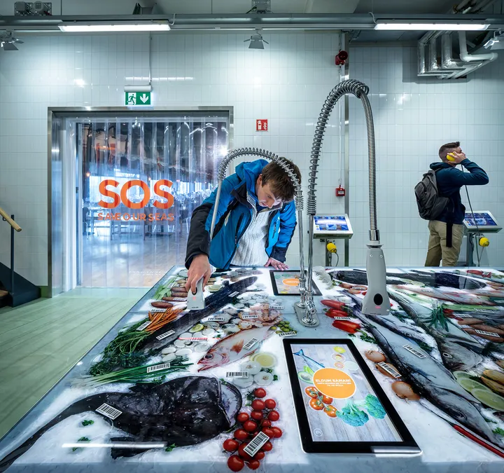 Interactive games about food from the fishing industry