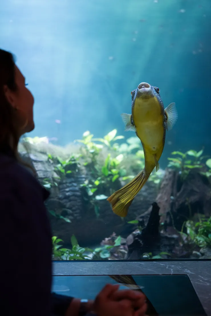 ARTIS Aquarium door Kossmanndejong
