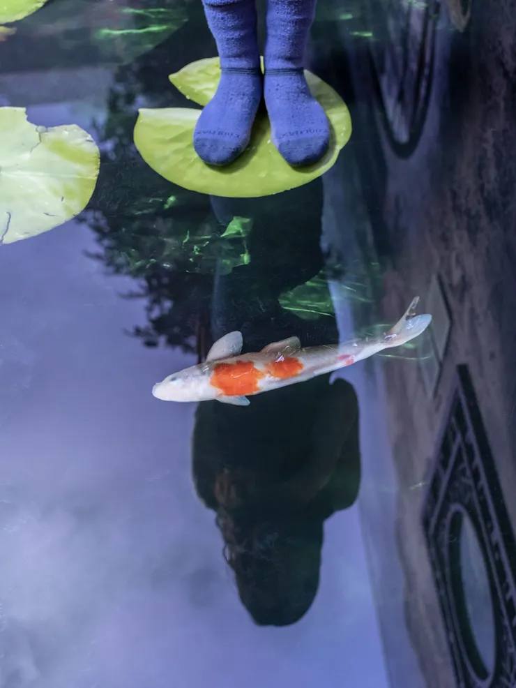 The Newt in Somerset, UK - Story of Gardening
