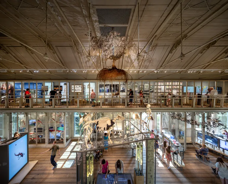 An upstairs overview of the space