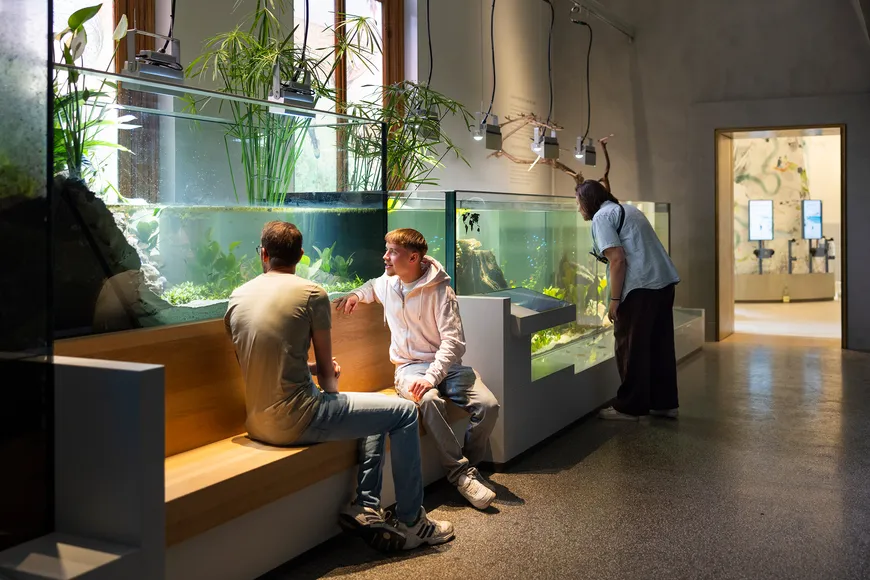 ARTIS Aquarium door Kossmanndejong